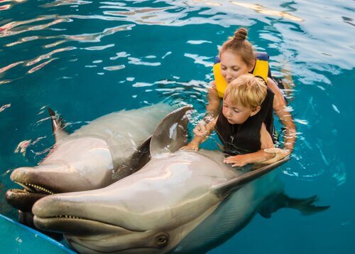 Criança fazendo terapia com golfinhos