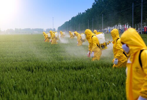 Os efeitos dos pesticidas no cérebro