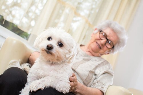 Terapia assistida por animais para idosos com Alzheimer