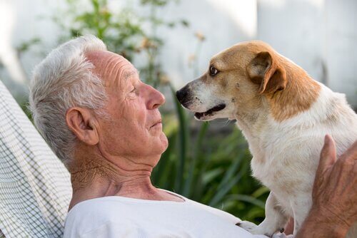 Terapia assistida por animais para idosos com Alzheimer