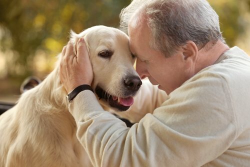 Terapia assistida por animais para idosos com Alzheimer