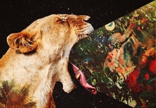 Imagem saindo da boca de um leão