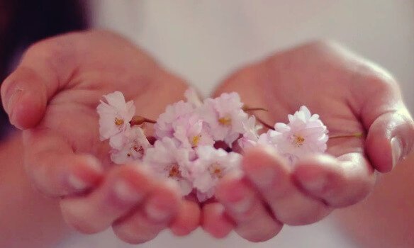Mãos segurando flores representando a abundância