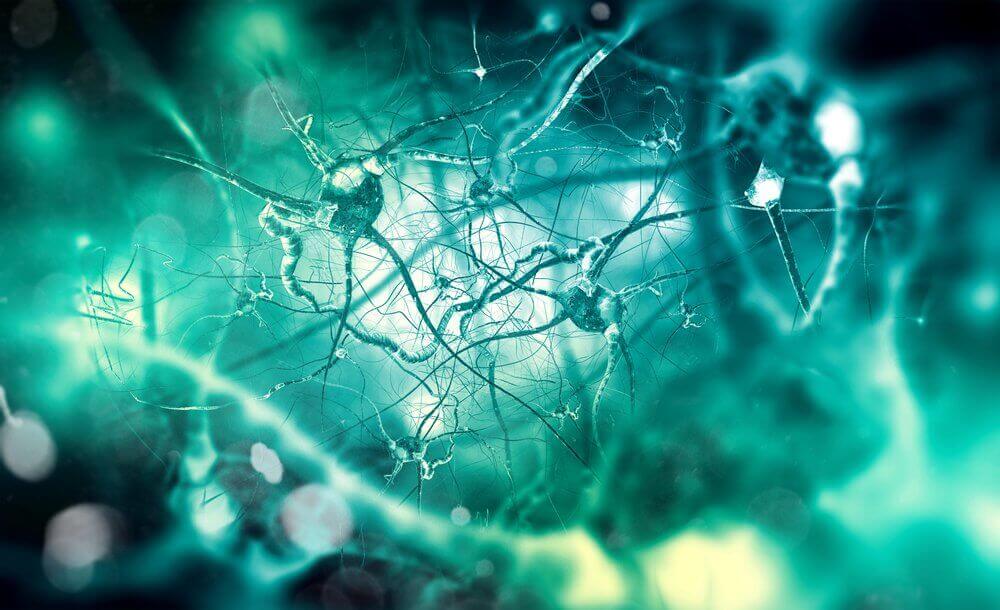Neurônios