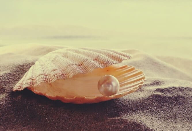 Concha com pérola na areia