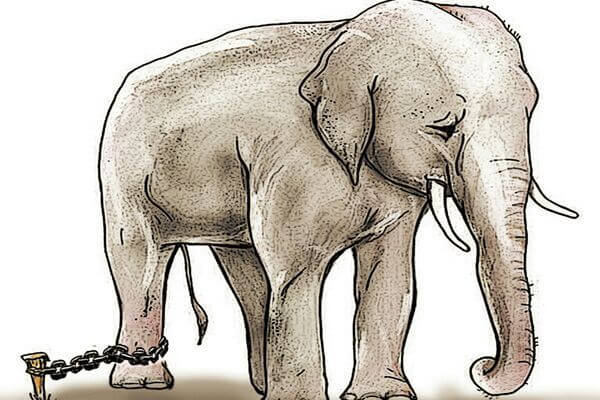 A história do elefante acorrentado