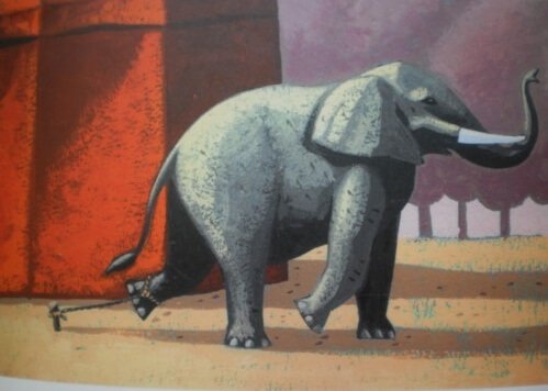 A bela história do elefante acorrentado 