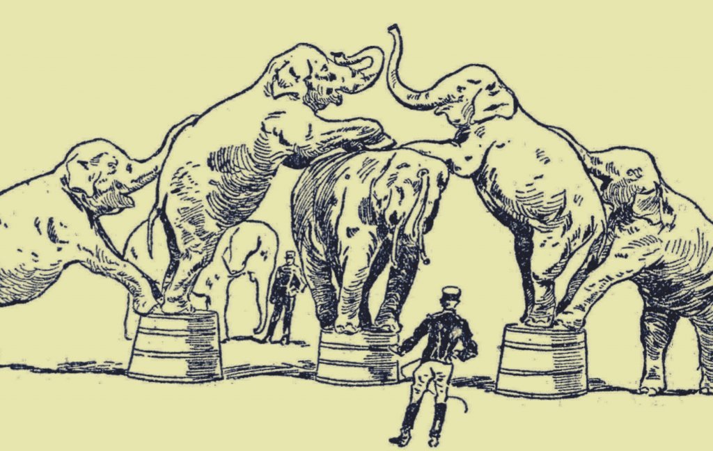 As tristezas por trás da vida dos animais no circo