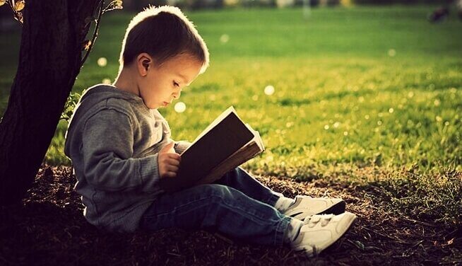 Criança lendo livro no parque