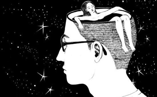 Diferenças entre intuição e instinto