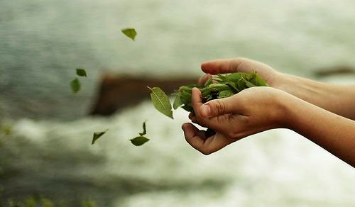 Deixar fluir para lidar com o amor