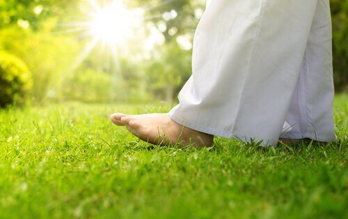 Os benefícios do Lu Jong