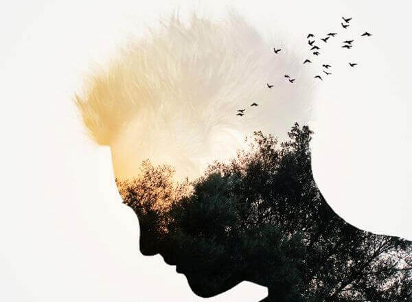 Silhueta humana com pássaros voando