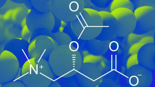 Deficiência de acetilcarnitina