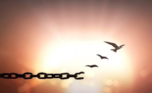 Pássaro que consegue se libertar