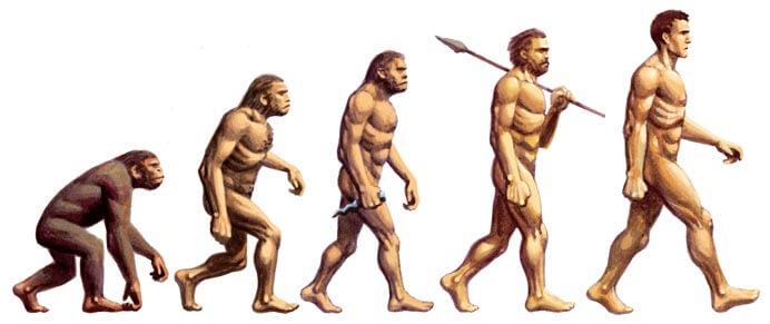 Evolução do ser humano