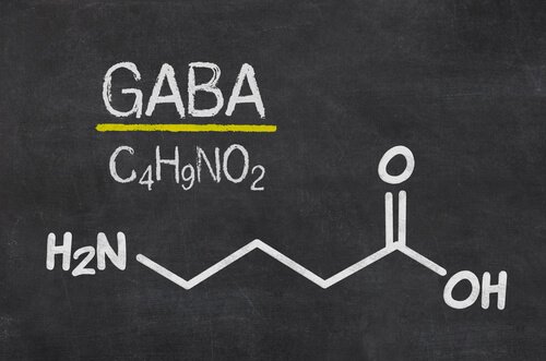 Neurotransmissor GABA