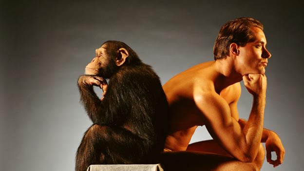 Homem e macaco pensando