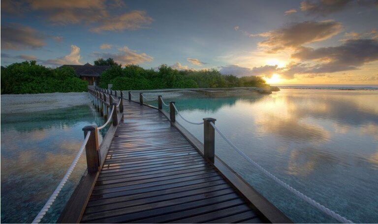 A beleza da natureza