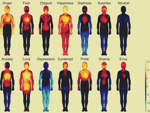 Terapia somática: liberar e entender emoções presas em nosso corpo