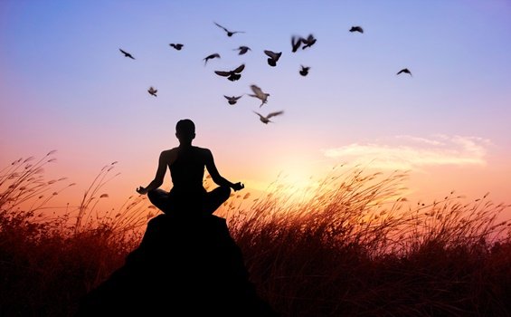 Meditar na natureza