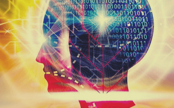 O funcionamento do cérebro