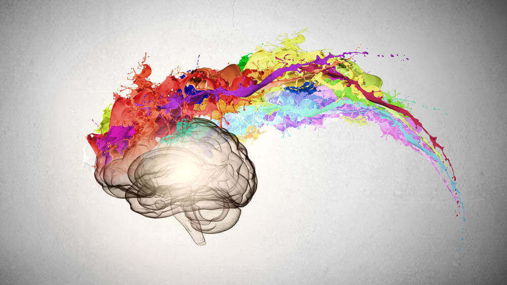 A criatividade regida pelo nosso cérebro