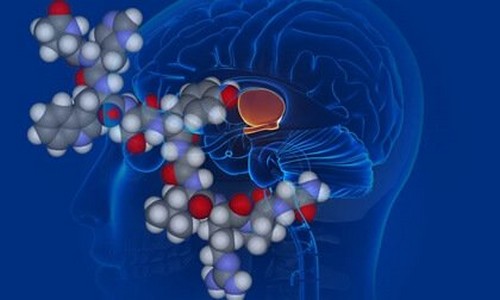 Vasopressina, o hormônio antidiurético - A Mente é Maravilhosa