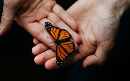 Mãos segurando borboleta
