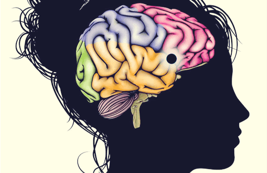 Núcleo accumbens: um centro de aprendizado, motivação e prazer