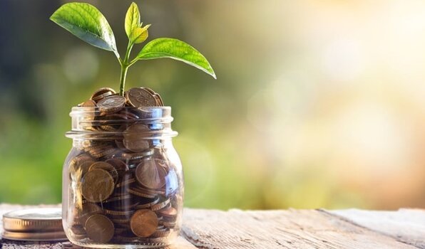 Florescimento do dinheiro