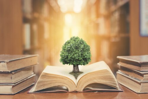 5 livros de psicologia educacional que devemos ler