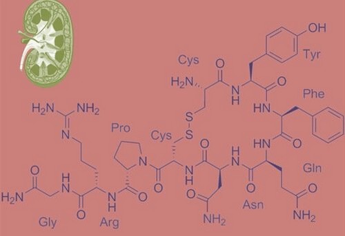 O que é a vasopressina?