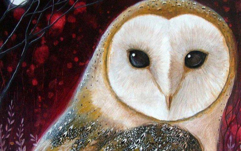 Pintura de coruja