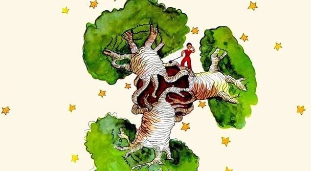 Um baobá no coração, uma reflexão de O Pequeno Príncipe