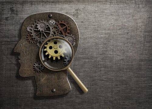 Investigar o cérebro