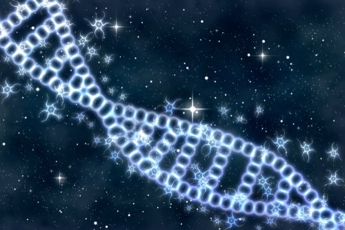 Os enigmas do DNA