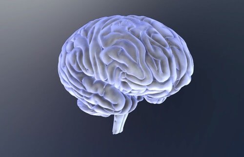 Métodos de pesquisa em biopsicologia