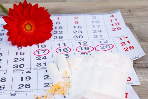Ciclo menstrual