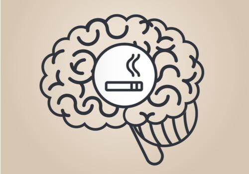 Nicotina: saiba como ela afeta o nosso cérebro
