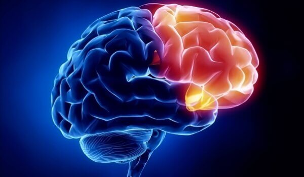 A região cerebral da culpa