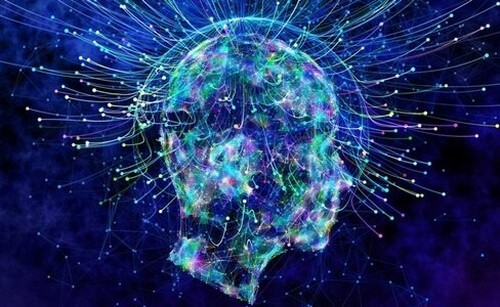 As células OLM e o controle da ansiedade