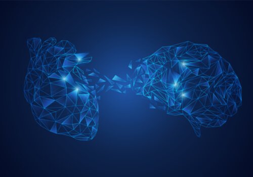 Modelo De Integracao Neurovisceral A Conexao Cerebro Coracao