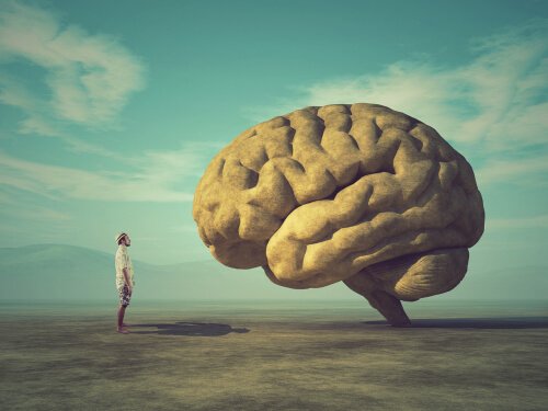 O homem e a história da neurociência