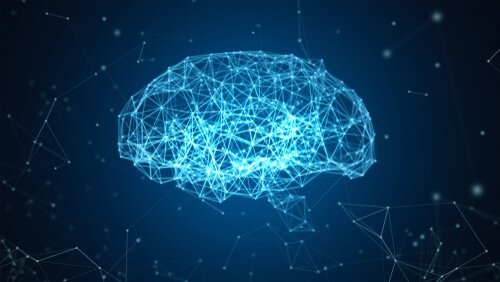 Projeto Blue Brain: um mapa cerebral digital