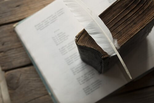 Livro de poesias