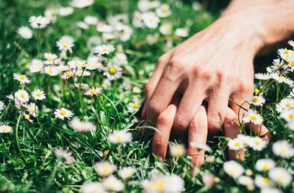 Mãos dadas em campo de flores