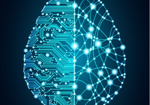 Conexões do cérebro humano