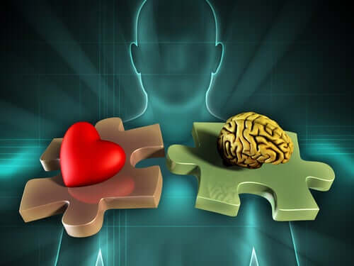 A neuroanatomia das emoções