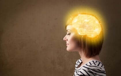 Cérebro iluminado representando pensamento